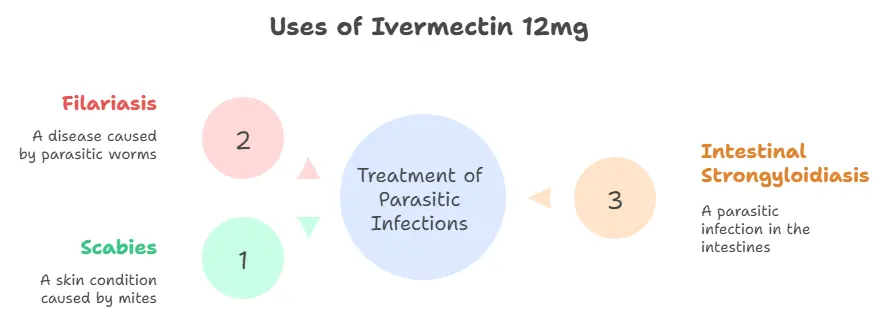 Uses of Ivermectin 12mg