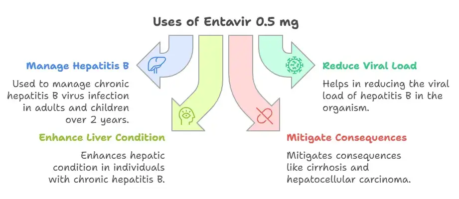 Uses of Entavir 0.5 mg Tablet