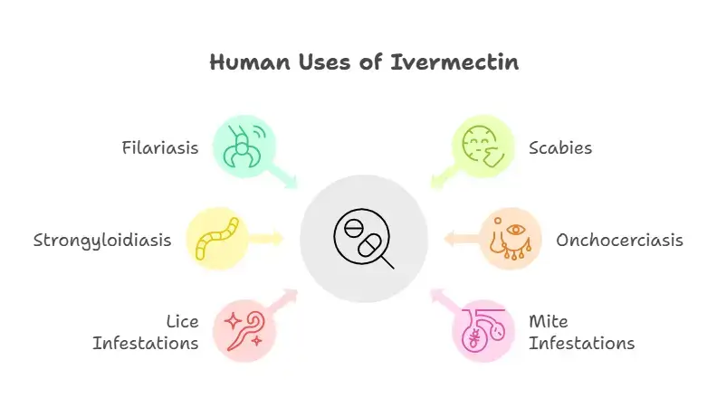 Uses of Ivermectin