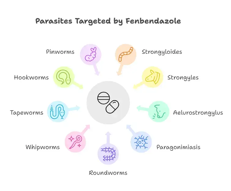 Fenbendazole 1000 mg