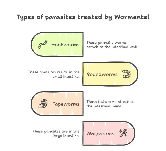 What types of parasites do the Wormentel tablets treat 