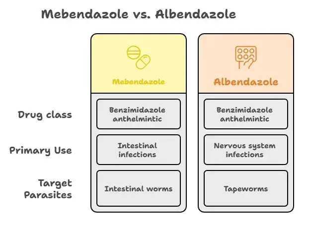 Mebendazole vs. Albendazole