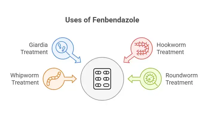Uses of Fenbendazole
