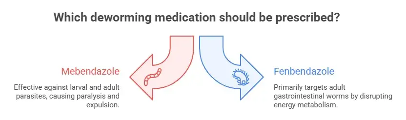 Mebendazole VS Fenbendazole